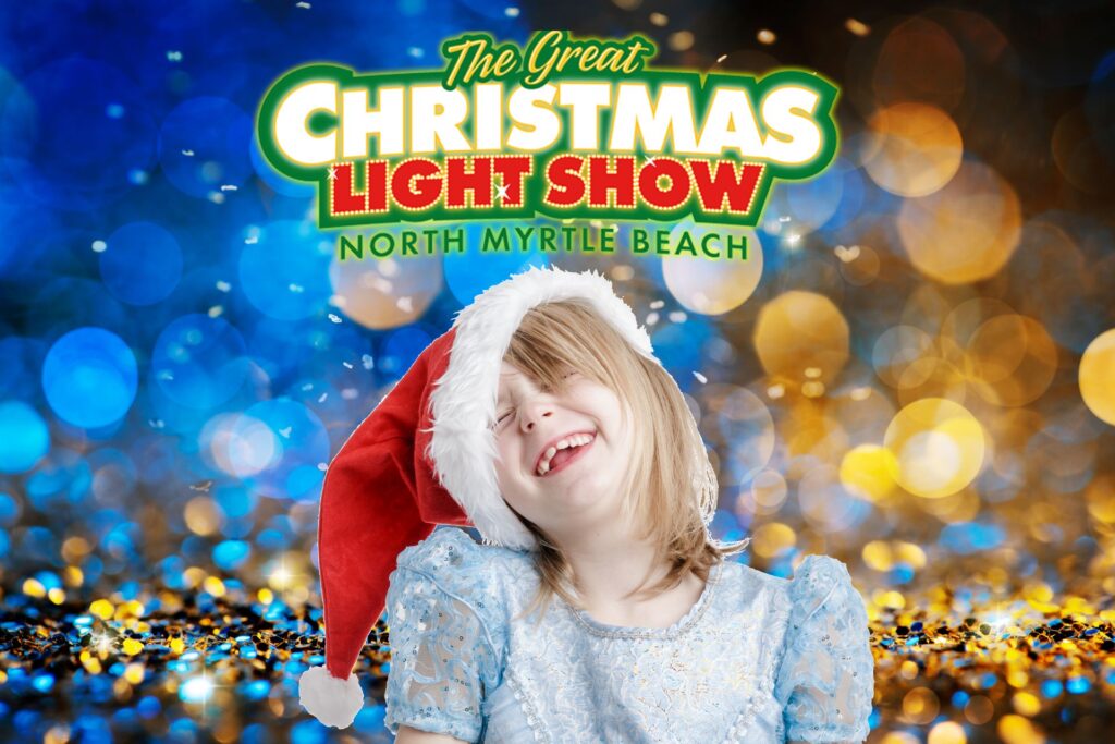 the great christmas light show